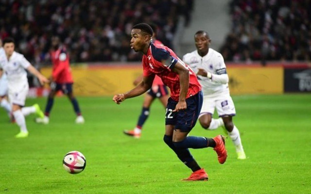 打法教育 打法教育