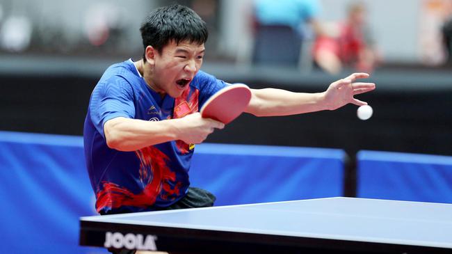 张之臻成为 张之臻成为