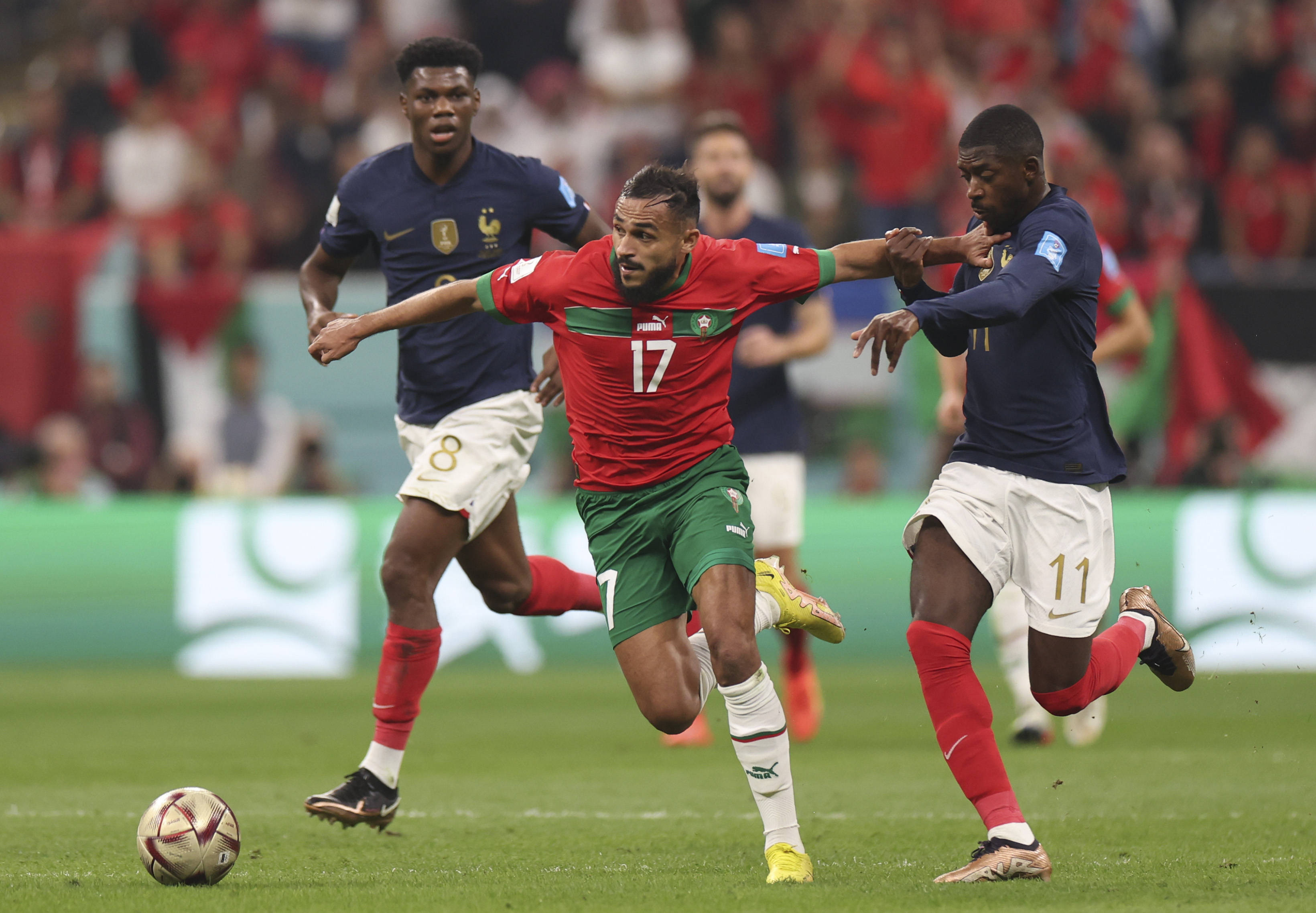 质的跑步体 质的跑步体